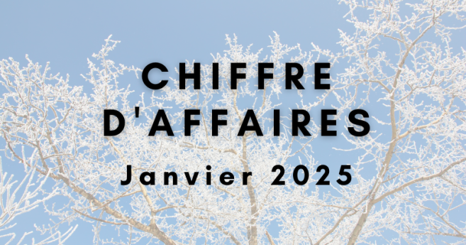 Chiffre d'affaires de janvier 2025 : un début d’année dynamique