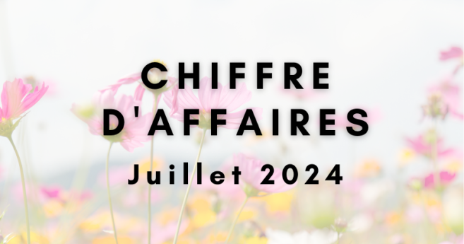 [Sondage] Votre chiffre d’affaires de juillet 2024 par rapport à juillet 2023