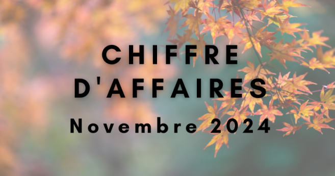 [Sondage] Votre chiffre d’affaires de novembre 2024 par rapport à novembre 2023