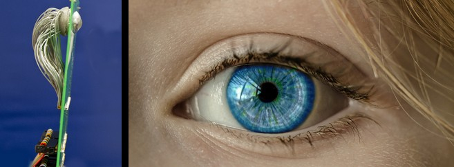 Un œil artificiel… plus performant qu'un œil humain !