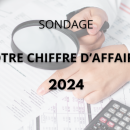 [Sondage] Quel a été votre CA en 2024 par rapport à 2023