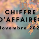 [Sondage] Votre chiffre d’affaires de novembre 2024 par rapport à novembre 2023