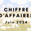 Chiffre d’affaires de juin 2024: pourquoi votre activité est en baisse