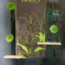 Morel: Koali fête le printemps avec de nouvelles créations aux inspirations florales 