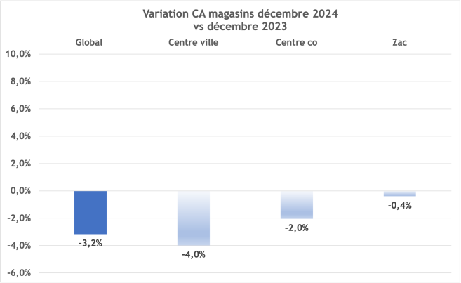 variation_ca_decembre_2024.png