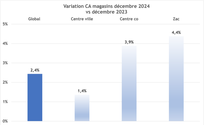 variation_ca_janvier_2025_optique.png