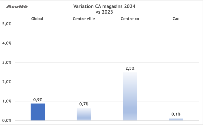 variation_ca_magasins_2024_vs_2023.png